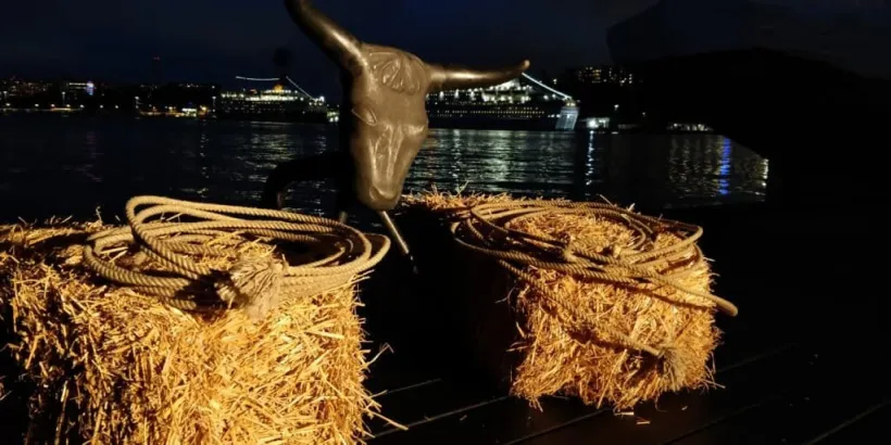 Lasso Kastning