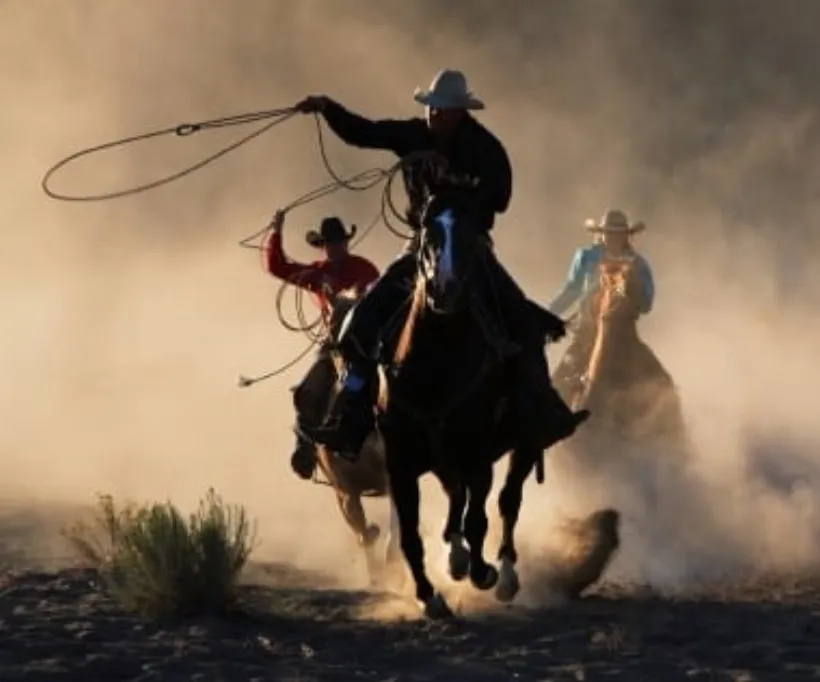 Western Paketet